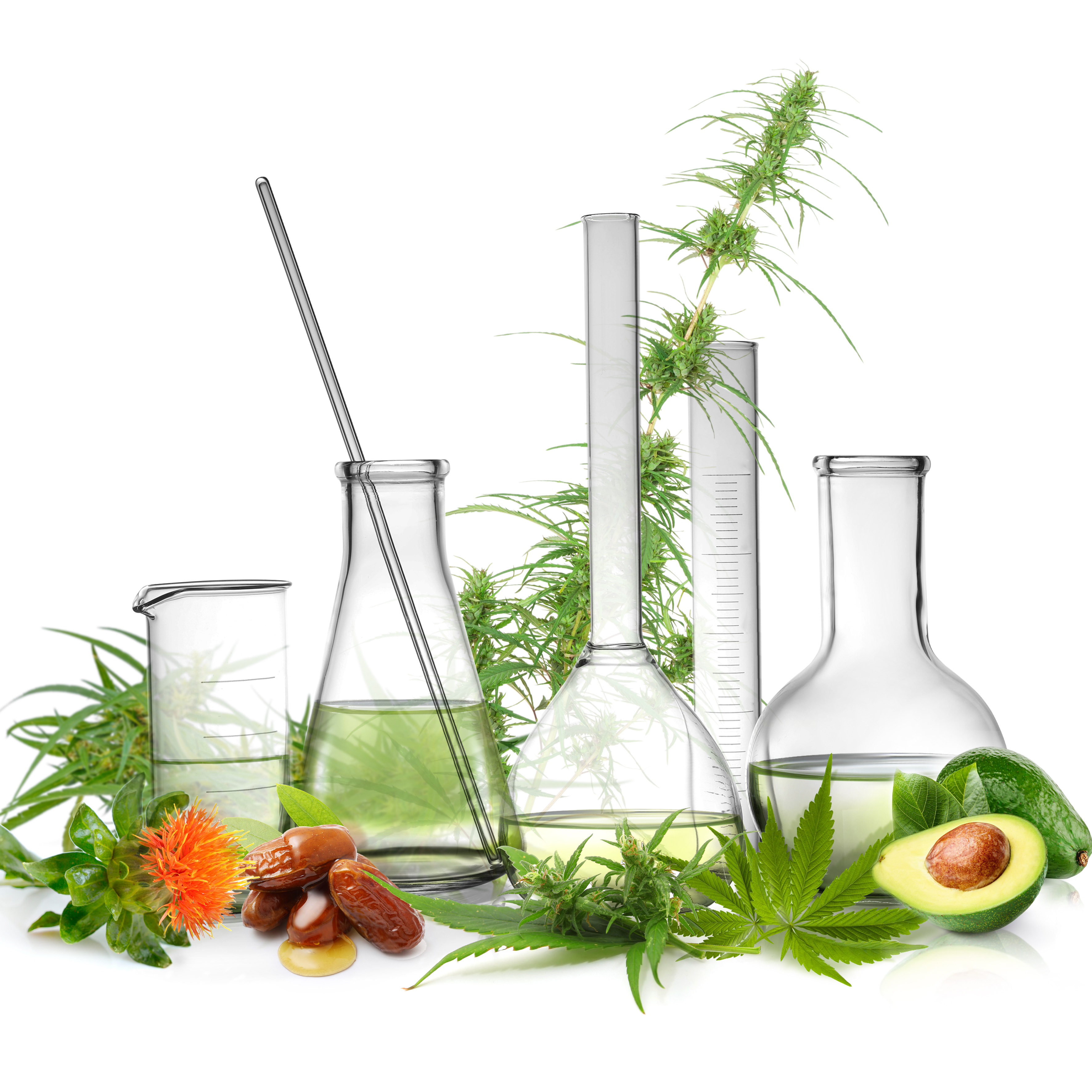 Масло Для Лица С Маслом Семян Конопли "CB2 Botanic"